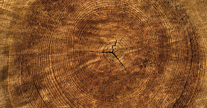 We are active in the following 6 Sectors