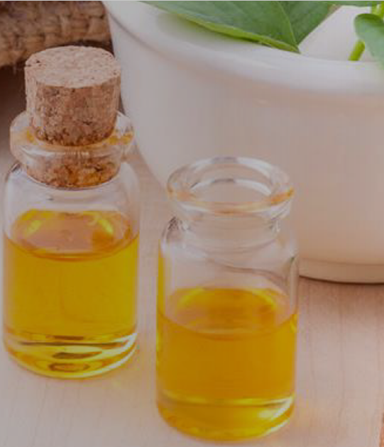 VIRTUAL WORKSHOP FOR BSOS ON SUPPORTING THEIR MEMBERS FROM THE NATURAL INGREDIENTS SECTOR TO INCREASE EXPORTS TO THE EUROPEAN MARKET 