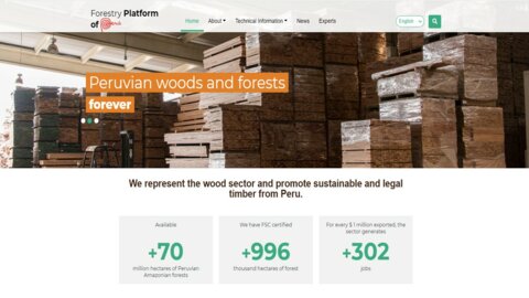 Strengthening the capacities of strategic partners in the wood sector generates institutional synergies